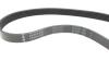 Комплект ремня генератора Citroen Berlingo/Jumpy/Peugeot Expert/Partner 1.6 HDi 08- INA 529 0335 10 (фото 2)