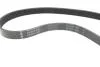Комплект ремня генератора Citroen Berlingo/Jumpy/Peugeot Expert/Partner 1.6 HDi 08- INA 529 0335 10 (фото 2)