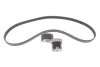 Комплект ремня генератора Renault Kangoo 1.5dCi 09- (6PK 1195) INA 529 0339 10 (фото 1)