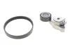 Комплект ремня генератора VW Golf/Passat/Touran 1.4 TSI 05-. (5PK 493) INA 529 0340 10 (фото 1)