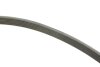 Комплект ремня генератора Opel Insignia 2.0 CDTI/Biturbo 08-17 (6PK 1853), A20DTR/DTC/DTL/DTJ/DT INA 529 0351 10 (фото 2)
