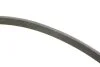 Комплект ремня генератора Opel Insignia 2.0 CDTI/Biturbo 08-17 (6PK 1853), A20DTR/DTC/DTL/DTJ/DT INA 529 0351 10 (фото 2)
