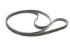 Комплект ременя генератора Land Rover Discovery/Range Rover Sport I 2.7D/3.0D 04-18 (6PK2100) INA 529 0422 10 (фото 2)