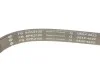 Комплект ременя генератора Land Rover Discovery/Range Rover Sport I 2.7D/3.0D 04-18 (6PK2100) INA 529 0422 10 (фото 4)