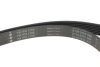 Комплект ременя генератора Renault Megane II 2.0 dCi 05-09 (7PK1705) INA 529 0423 10 (фото 7)