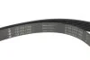 Комплект ременя генератора Renault Megane II 2.0 dCi 05-09 (7PK1705) INA 529 0423 10 (фото 7)