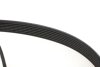 Комплект ременя генератора Renault Megane II 2.0 dCi 05-09 (7PK1705) INA 529 0423 10 (фото 8)