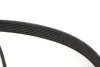 Комплект ременя генератора Renault Megane II 2.0 dCi 05-09 (7PK1705) INA 529 0423 10 (фото 8)