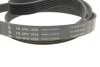 Комплект ременя генератора Land Rover Discovery/Range Rover 2.0D 14- INA 529 0426 10 (фото 9)