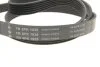 Комплект ременя генератора Land Rover Discovery/Range Rover 2.0D 14- INA 529 0426 10 (фото 9)