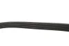Комплект ремня генератора VW Caddy III 1.9 TDI/2.0 SDI 04-10 (6PK 1050) INA 529046910 (фото 5)
