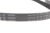 Комплект ремня генератора Ford Focus 2.5 ST 05-12, (5PK890 + 5PK848) INA 529 0477 10 (фото 2)