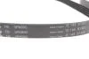 Комплект ременя генератора Ford Focus 2.5 ST 05-12, (5PK890 + 5PK848) INA 529 0477 10 (фото 2)
