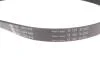 Комплект ременя генератора Ford Focus 2.5 ST 05-12, (5PK890 + 5PK848) INA 529 0477 10 (фото 3)