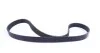 Комплект ремня генератора BMW 3 (F30, F80), 03/11 - 10/18, (6PK 985)N13B16 INA 529 0482 10 (фото 3)