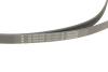 Комплект ремня генератора BMW X1 (F48) 15- B38 A15 INA 529 0516 20 (фото 4)
