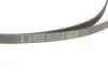 Комплект ременя генератора BMW X1 (F48) 15- B38 A15 INA 529 0516 20 (фото 4)