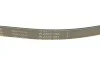Комплект ременя генератора Ford Transit Custom 2.2 TDCi 12-15 (6PK1685/4PK922) INA 529 0527 10 (фото 4)