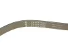 Комплект ременя генератора Ford Transit Custom 2.2 TDCi 12-15 (6PK1685/4PK922) INA 529 0527 10 (фото 5)