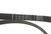 Комплект ременя генератора Citroen Berlingo/Peugeot Partner 1.6HDI/Fiat Scudo 1.6D (6PK1708) INA 529 0533 10 (фото 7)