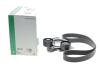 Комплект ременя генератора BMW 3 (G20/G80/G28)/5 (G30/F90) 2.0DH 19- B47 (8PK1162) INA 529 0568 10 (фото 2)