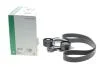 Комплект ременя генератора BMW 3 (G20/G80/G28)/5 (G30/F90) 2.0DH 19- B47 (8PK1162) INA 529 0568 10 (фото 2)