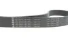Комплект ременя генератора BMW 3 (G20/G80/G28)/5 (G30/F90) 2.0DH 19- B47 (8PK1162) INA 529 0568 10 (фото 4)