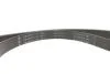 Комплект ремня генератора Ford Fiesta/Focus 1.0 EcoBoost 19- (6PK1179) INA 529056910 (фото 6)