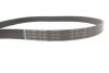 Комплект ремня генератора Audi A4/A6/A7/Q5 2.0H 17- (6PK1138) INA 529 0571 10 (фото 7)