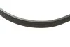 Комплект ремня генератора VW Golf VIII 1.0 eTSI 20- (6PK1033) INA 529 0572 10 (фото 3)