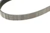 Комплект ремня генератора VW Golf VIII 1.0 eTSI 20- (6PK1033) INA 529 0572 10 (фото 4)