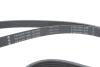 Комплект ремня генератора VW T5/T6 2.0 TDI 09- (6PK 1555) INA 529 0586 10 (фото 10)