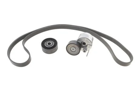 Комплект ремня генератора VW T6 2.0 TDI 15-24 (6PK 1555) INA 529 0591 10