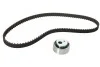 Комплект ГРМ Citroen Berlingo/Peugeot Partner 1.1i 96-08, (HDZ/HFX) INA 530 0012 10 (фото 1)