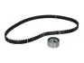 Комплект ГРМ Renault Megane 1.4/1.6 96-03 (17x95z) INA 530 0018 10 (фото 1)