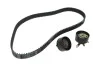 Комплект ГРМ Ford Focus/Mondeo 96-04 (129x25.4) INA 530 0066 10 (фото 1)