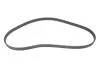 Комплект ГРМ Opel Astra F/Omega A/B 1.6/1.8/2.0i 88-03 INA 530 0147 10 (фото 8)