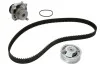 Комплект ГРМ + помпа Audi/Seat/Skoda/WV 1.6 95- INA 530 0171 31 (фото 1)