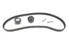 Комплект ГРМ Citroen Xsara/Peugeot 306 1.8 16V 97-02 INA 530 0236 10 (фото 2)