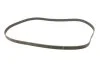 Комплект ГРМ Subaru Forester/Impreza 2.0 S Turbo 96-02 INA 530 0353 10 (фото 10)