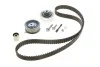 Комплект ГРМ Skoda Octavia/Fabia 1.9 TDI 96-06 INA 530 0361 10 (фото 1)