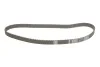 Комплект ГРМ Citroen C3 1.4 16V HDi 02- (25.4x135z) INA 530 0369 10 (фото 2)
