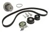 Комплект ременя газорозподільного механізму з водяним насосом INA 530 0441 30 (фото 1)