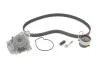 Комплект ГРМ + помпа Honda Civic 1.6/1.7i 01-05/FR-V 1.7 04-/Stream 1.7 16V 01-06 (22x104z) INA 530050631 (фото 1)
