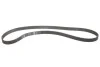 Комплект ГРМ Opel Insignia A 2.0 Biturbo /CDTi 08-, 140/143kw INA 530 0619 10 (фото 5)