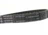 Комплект ГРМ Volvo S60/S80/S90 14-, (B 4204) INA 530 0746 10 (фото 2)