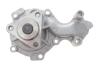 Комплект ГРМ + помпа Ford Focus III/Transit Courier 1.0-1.1 12- INA 530084130 (фото 14)