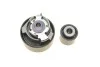 Комплект ГРМ Citroen C1/C3/C4/Peugeot 2008/208/301 1.2 12- INA 530 0856 10 (фото 6)