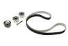 Комплект ГРМ Land Rover Discovery 04-/Sport 3.0D 13- (4x4) (195x29) INA 530093310 (фото 1)