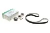 Комплект ГРМ Land Rover Discovery 04-/Sport 3.0D 13- (4x4) (195x29) INA 530093310 (фото 2)